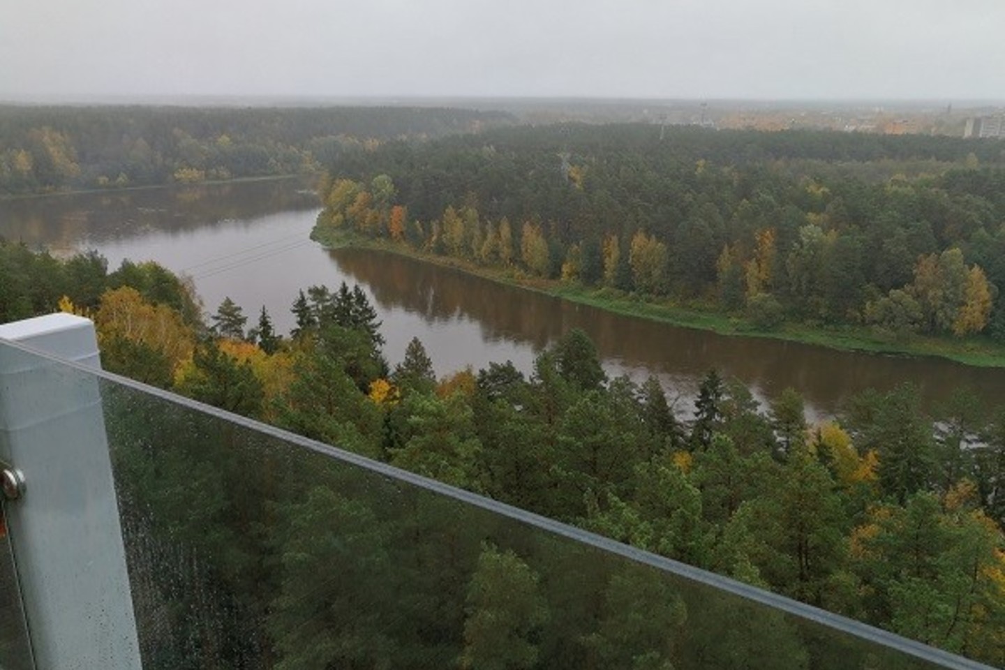 „Aero gallery“ Druskininkuose.<br> Nuotr. iš „Riebus katinas“.