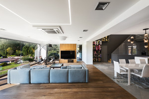 Prabangiuose kauniečių namuose  siautėja dešimties augintinių būrys