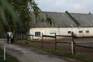 Medikai kovoja dėl 14-metės gyvybės: jojimo aikštelėje patyrė kraupią traumą