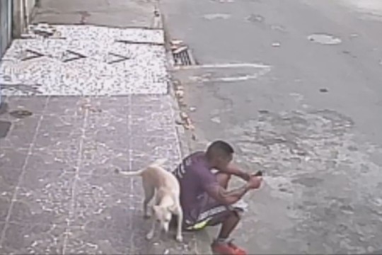 Šunelis suklydo – sėdintį vaikiną palaikė hidrantu