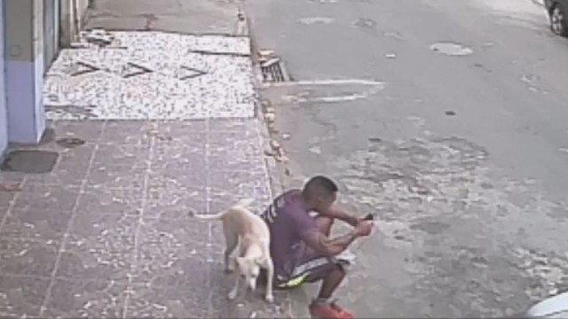 Šunelis suklydo – sėdintį vaikiną palaikė hidrantu
