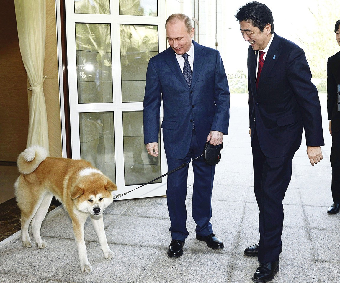 Akitos Inu veislės šunį, vardu Jumė, V.Putinas taip pat gavo dovanų. 2012  metais jį Rusijos prezidentui įteikė Japonijos ministras pirmininkas Sh.Abe.<br>„Scanpix“ ir „ViDA Press“ nuotr.