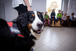 Klaipėdoje – neregėtas eksperimentas su šunimis