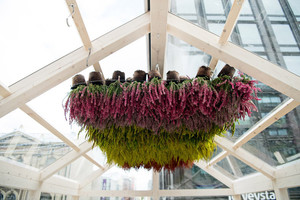 Na ir laikai – neįtikėtina,  kokio dydžio plote įspraudė trijų aukštų namą 