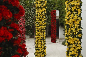 Pasigėrėkite: tarptautinis gėlių festivalis užburia vaizdais