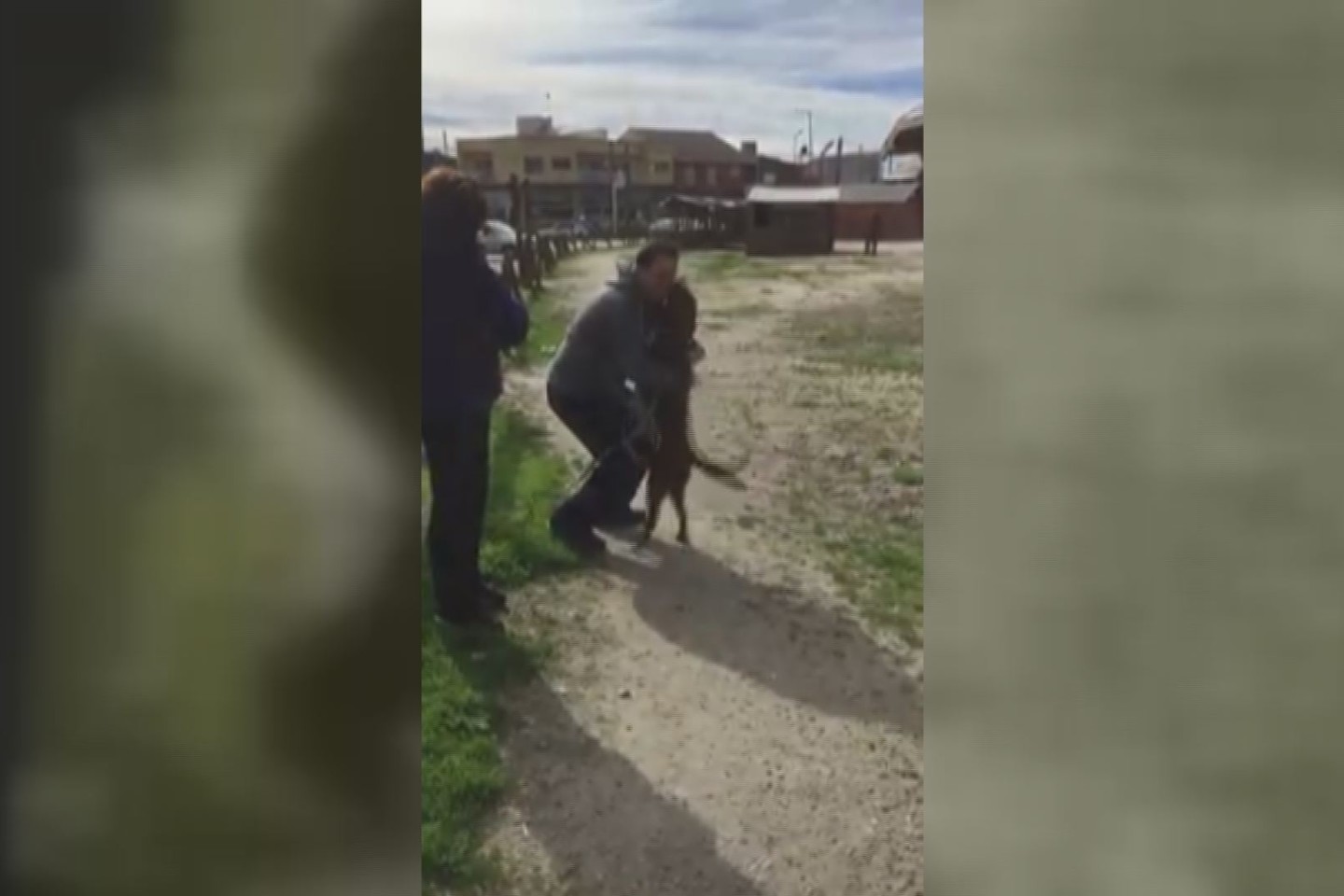 Nesumeluotas džiaugsmas, atpažinus išsiilgtą šeimininką. <br> Stop kadras