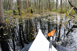 Baidare per apsemtą Žalgirių mišką – ekstremalus išbandymas