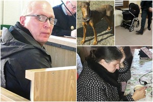 Dar negirdėta byla: šuns pražudyto kūdikio tėvams – skirtinga dalia