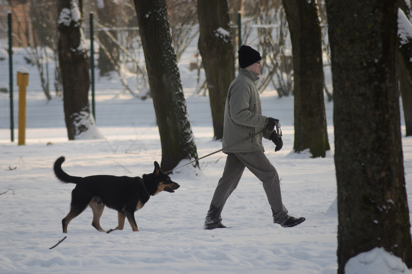 Aktyvūs žaidimai, įdomi veikla lauke – pats geriausias būdas grūdinti augintinį. Judėjimas gryname ore stiprina šuns raumenis, didina sąnarių lankstumą, gerina virškinamojo trakto darbą.<br>kiti
