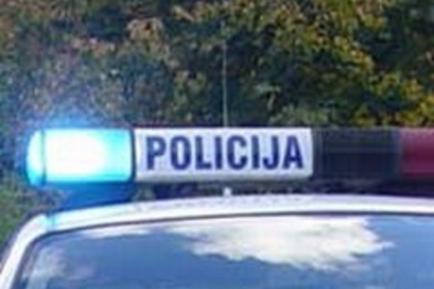 Kazlų Rūdos policija sulaikė du 17-mečius, įtariamus vagystėmis ir plėšimu.