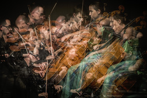 „Gaidos“ dienoraštis: Įtemptos stygos. Styginių kvarteto „Tana“ (Prancūzija) koncertas