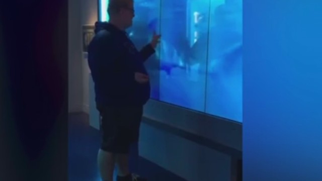 Ryklys patikrino budrumą – vyras to ilgai nepamirš