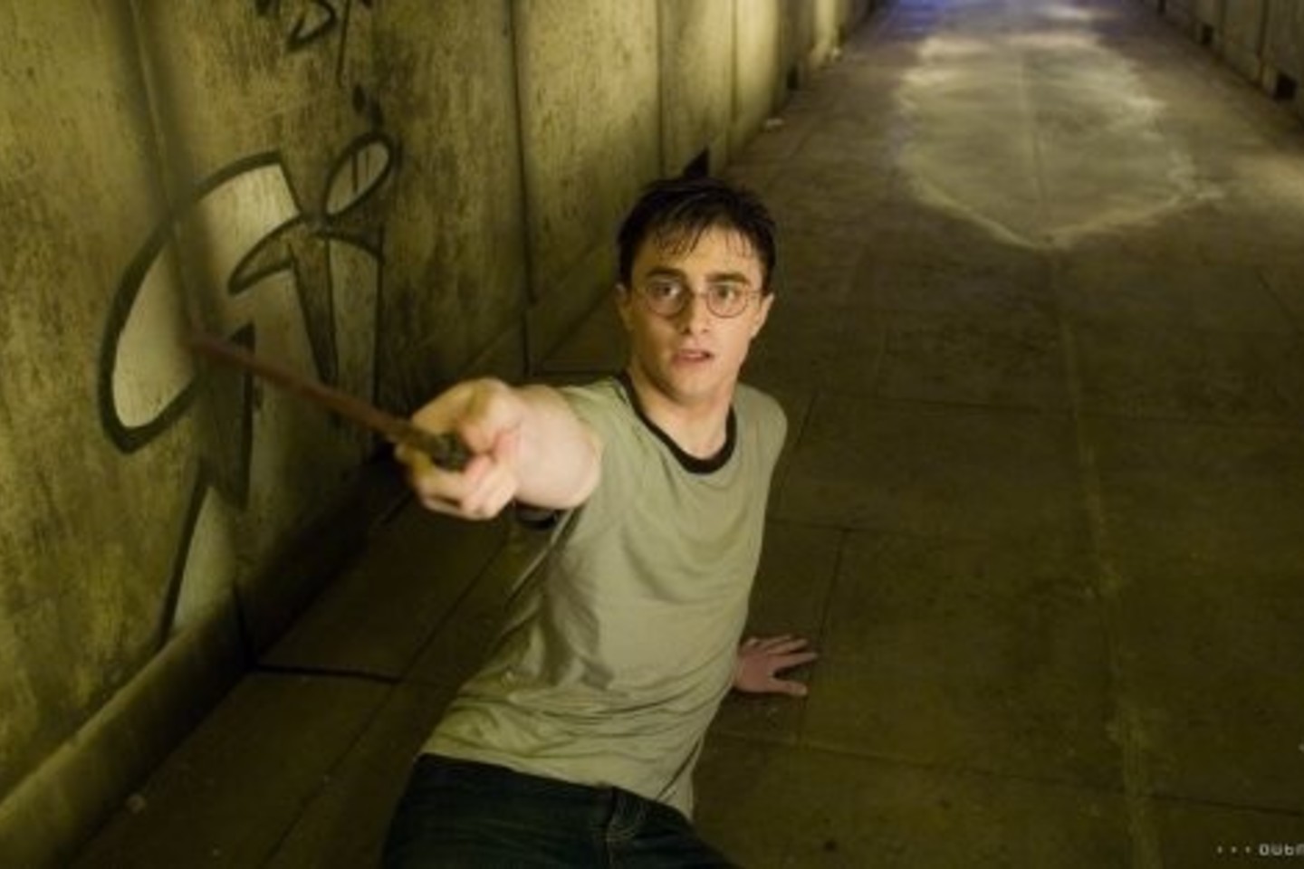 "Haris Poteris ir Fenikso brolija".