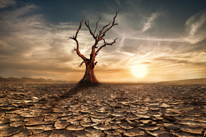 Mokslininkai nustatė, ką patiria mirštantis žmogus