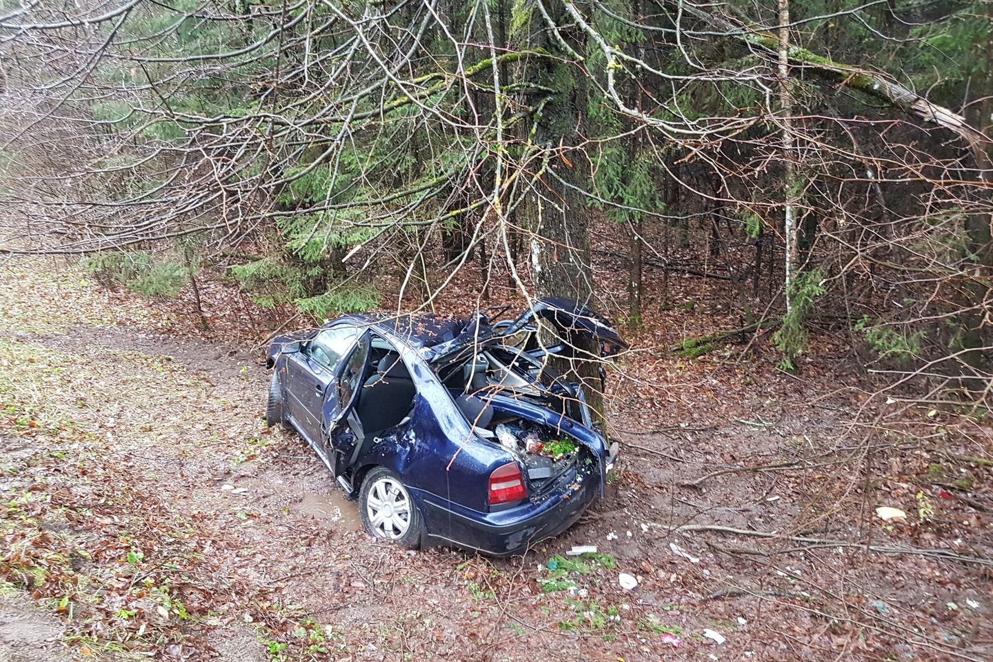 Kelionė į kapines baigėsi griovyje: ugniagesiai gelbėjo 15-metį, nukentėjo kūdikis.