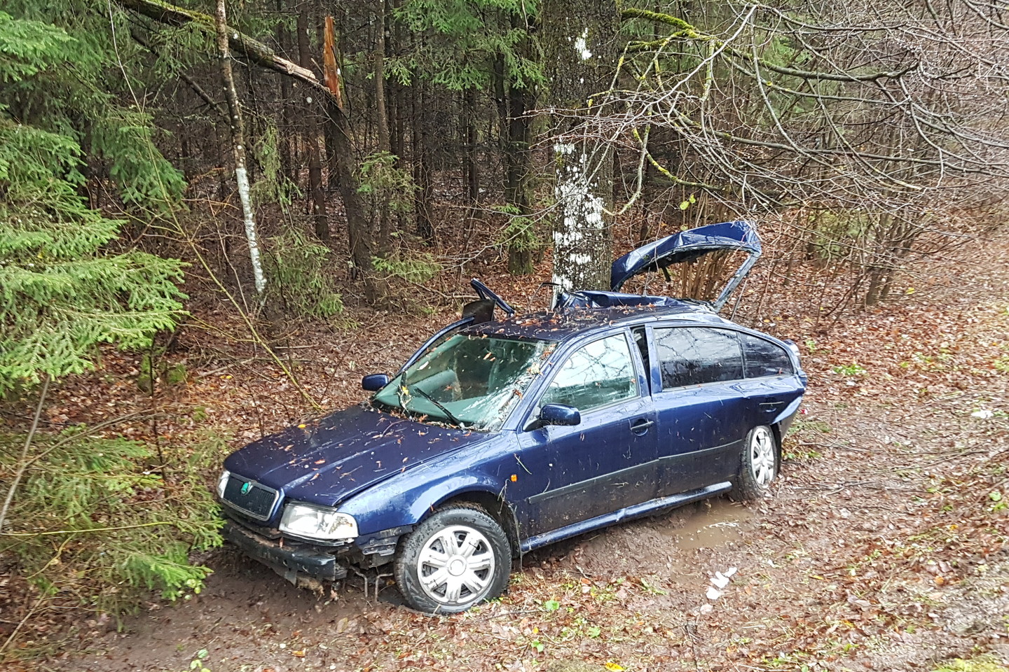 Kelionė į kapines baigėsi griovyje: ugniagesiai gelbėjo 15-metį, nukentėjo kūdikis.<br> Įvykio liudininko nuotr.