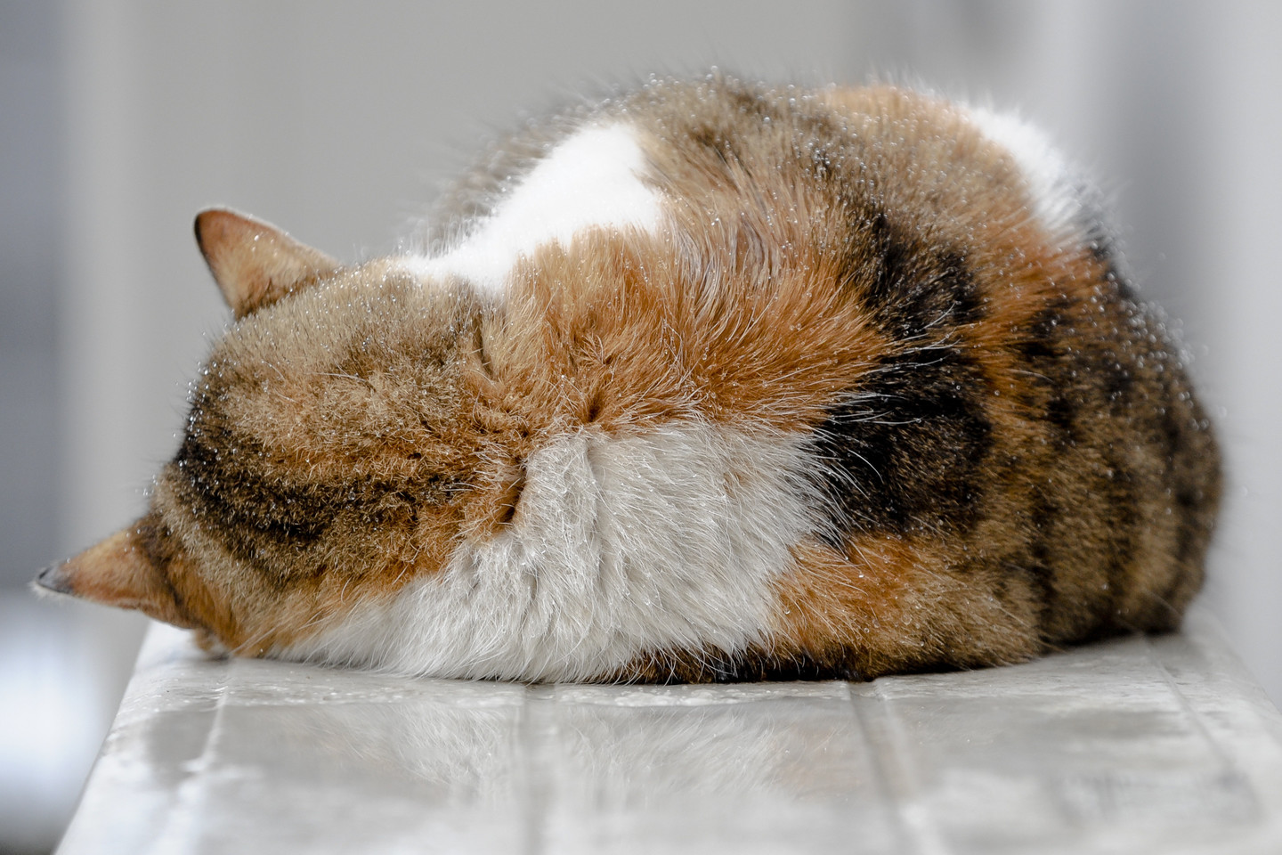 Orai artimiausiomis dienomis nebus malonūs.<br>V.Ščiavinsko nuotr.