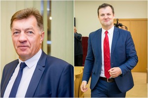 Lietuvos partinės sistemos problema – politikai įsivaizduoja esantys nepakeičiami