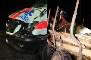 Medikų brigada pateko į avariją: į kelią iššokęs briedis visiškai sumaitojo automobilį