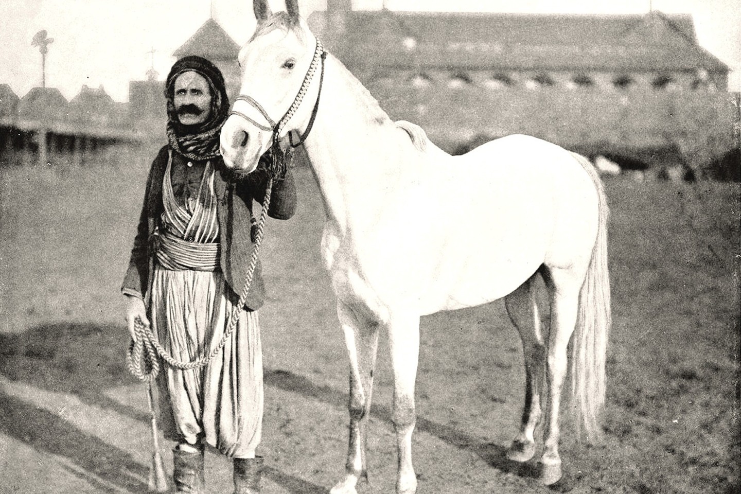 Klajoklių beduinų Arabijos pusiasalyje daugiau nei prieš tūkstantį metų išveistai arabų arklių veislei iškilo didelė grėsmė. Dabar šie proporcingų kūno formų žirgai naudojami lenktynėms ir pramogoms.<br>Wikipedia nuotr.
