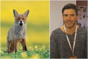 Gamtos nuotraukų autorius Marius Čepulis – apie ekstremalių kadrų medžioklę