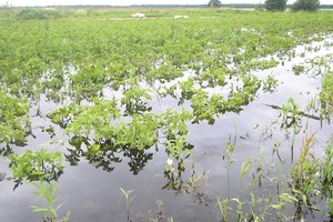 Politikų fantazijos – su spragomis: augančiam apetitui reikėtų šimtų milijonų eurų