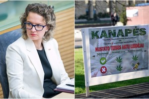 Liberalė siekia švelninti bausmes už suktines: „Už grotų siunčiame ne tuos“