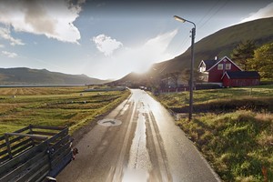 Populiariai „Google“ paslaugai išnaudojami net gyvūnai