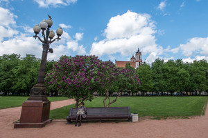 Atskleidė, kur švies senieji sostinės  Lukiškių aikštės žibintai