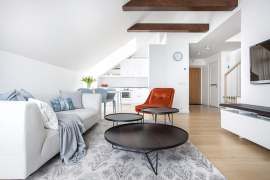 Nuostabi palėpė,  kurioje įsikūrė laimingi vilniečiai 