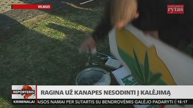 Ragina už kanapes nesodinti į kalėjimą