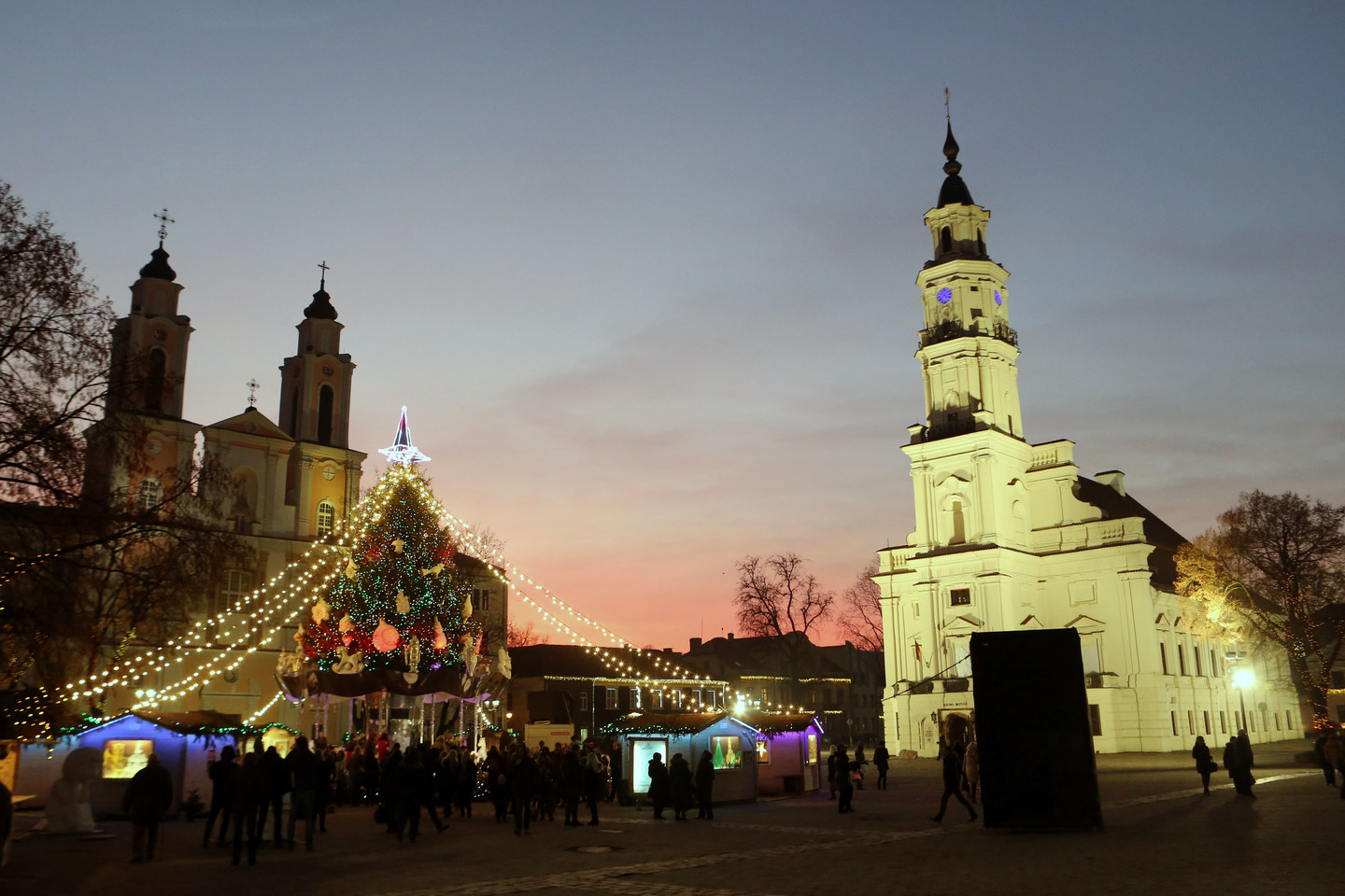  Kauno rotušėje buvo pristatyta kalėdinė eglutė.<br> G.Bitvinsko nuotr.