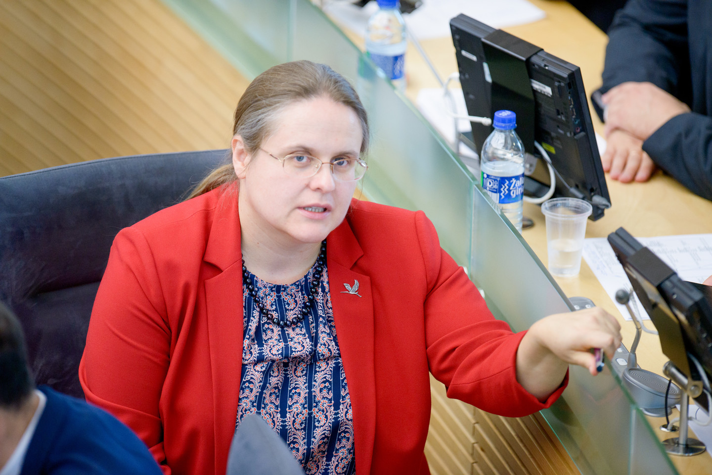 Vietoj opozicijon su socialdemokratais pasitraukusio Juliaus Sabatausko Teisės ir teisėtvarkos komitetui (TTK) gali vadovauti „valstietė“ Agnė Širinskienė.<br>J.Stacevičiaus nuotr.