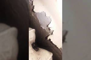 Po studentės skundo – netikėtas universiteto vadovybės poelgis