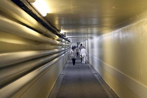 25 tūkst. gydytojų sukilo dėl algų: kas bus toliau?