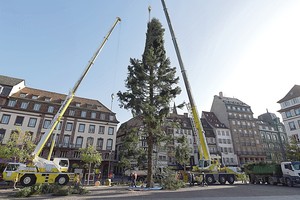 Lyg užkeikta: pasiruošimą Kalėdoms dukart sudrumstė ta pati priežastis