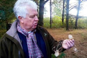 Ruduo vis dar kviečia puoštis – neapsijuokite prisisodinę invazinių grožybių 