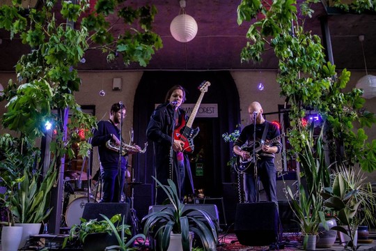 Albumo apžvalga. „Arklio galia“ „Antakalnis“