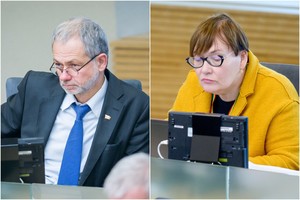 Linas Balsys kirto Aušrai Maldeikienei: „Tai tiesiog šmeižtas“