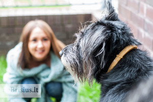 Iš prieglaudos šunį paėmusi mergina prisimena savo tėvų pamoką