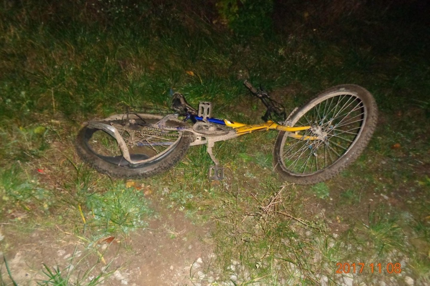  Po paros ligoninėje mirė Alytaus r. partrenktas dviratininkas.<br> Alytaus apskrities VPK nuotr.