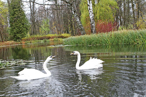 Pasivaikščiojimas Kauno botanikos sode nieko nekainuoja, bet įspūdžių – visai savaitei