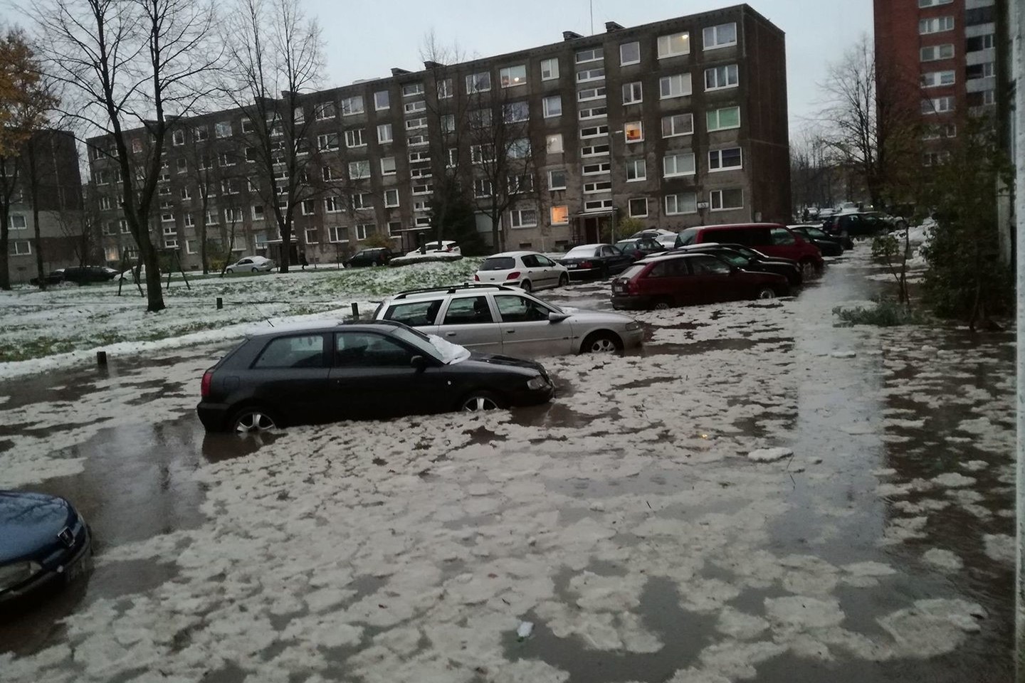 Klaipėdiečių užfiksuoti kadrai stebina – kai kuriuose kiemuose vanduo automobilius apsėmė iki žibintų.<br>Lrytas.lt skaitytojų nuotr.