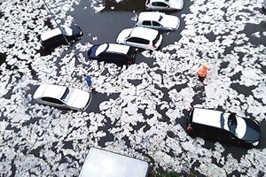 Atsibudę klaipėdiečiai pasijuto lyg po tvano