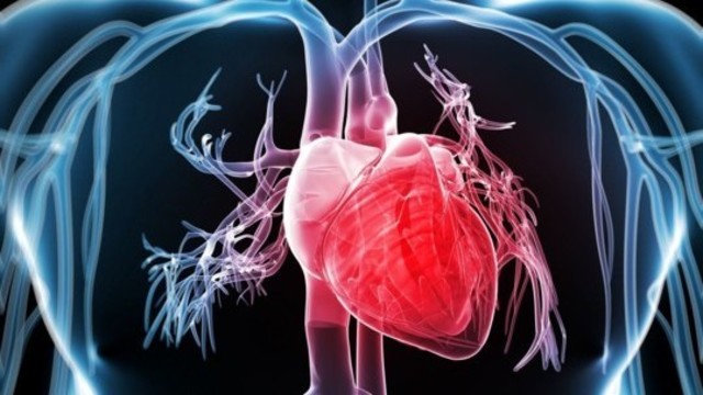 Mokslininkai atskleidė, kas 42 procentais sumažina širdies ligų riziką