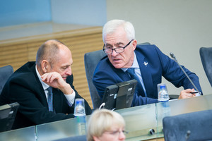 Dainiaus Kepenio istorijos interpretacija Seime sumalta į miltus