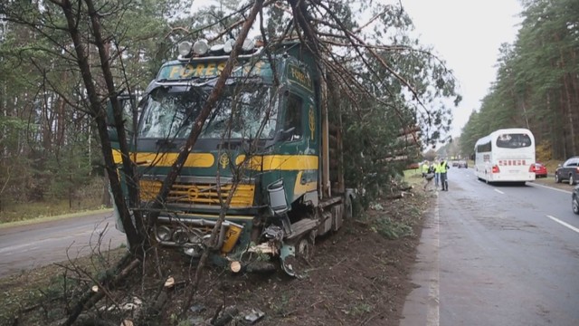 Vilniuje miškavežiui įsirėžus į medžius, rąstai pabiro ant kelio