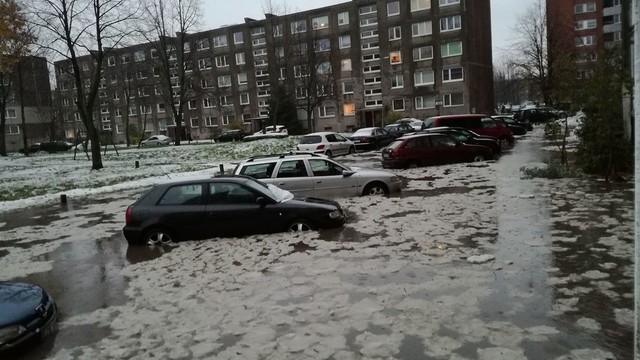 Po potvynio Klaipėdoje sukruto automobilių perpardavinėtojai