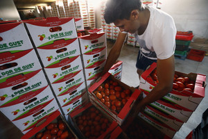 Gniaužtai atsileidžia: kas laimėjo Turkijos ir Rusijos pomidorų mūšį?