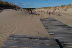 Mirusių kopų ruduo neužrakino – aplinkosaugos pamokos nėra atšauktos      